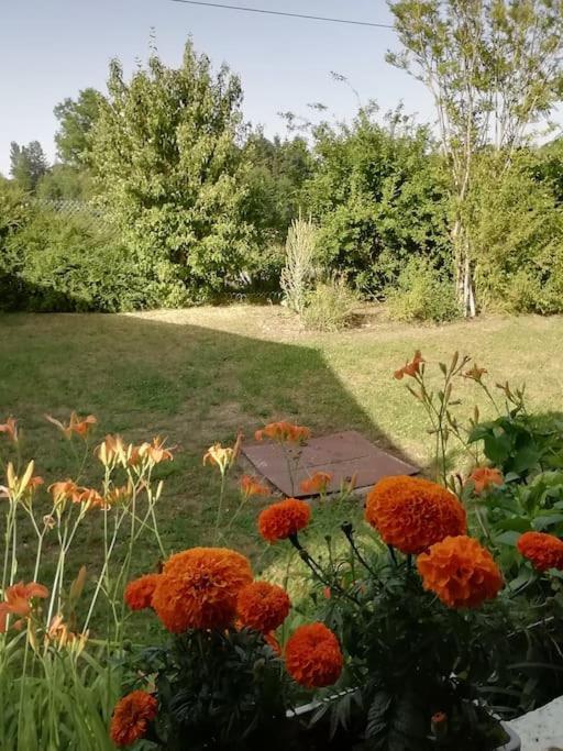 Maison De Village En Bord De Riviere Narcy Dış mekan fotoğraf