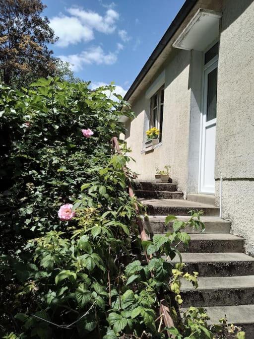 Maison De Village En Bord De Riviere Narcy Dış mekan fotoğraf