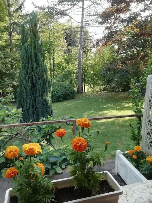 Maison De Village En Bord De Riviere Narcy Dış mekan fotoğraf